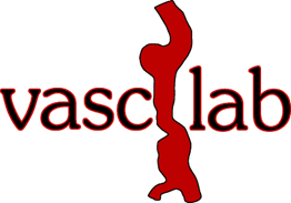 https://vasclab.mech.uwa.edu.au/_/rsrc/1401171717498/home/VascLab_Logo_3.png?height=280&width=400